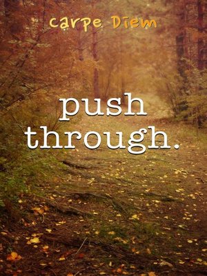 cover image of Push Through